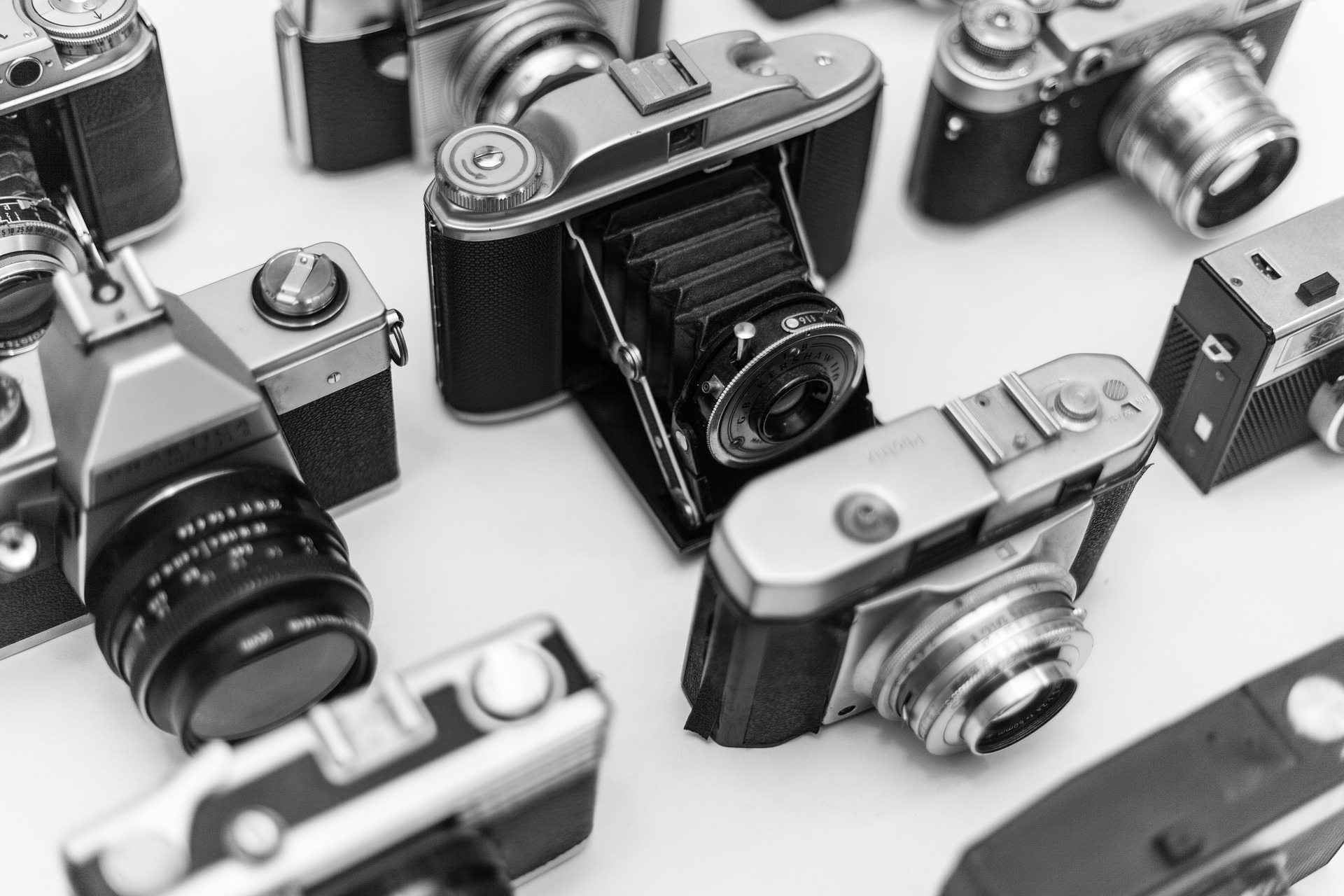 Konkurs fotograficzny "Szacunek to życia kierunek"